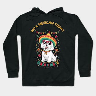 Bichon Frise Dog Cinco de Mayo Hoodie